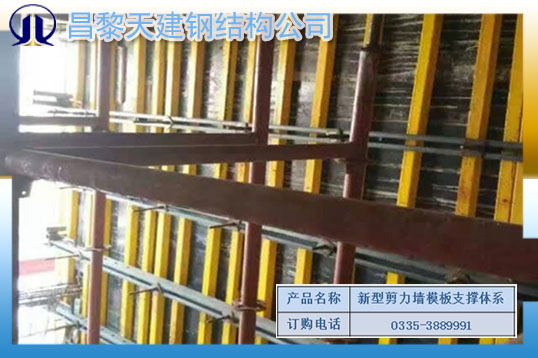模板支撑 (138).jpg