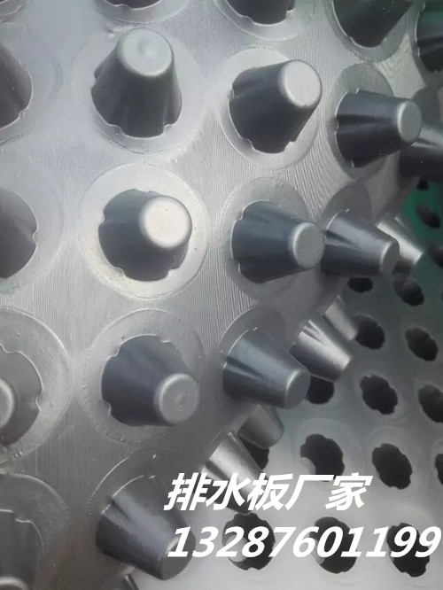 psb (31)_副本.jpg