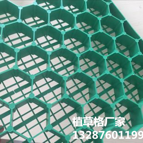3290633751_973170040.310x310_副本.jpg