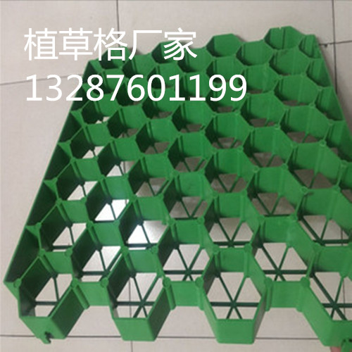 3726112452_1284448078.310x310_副本.jpg