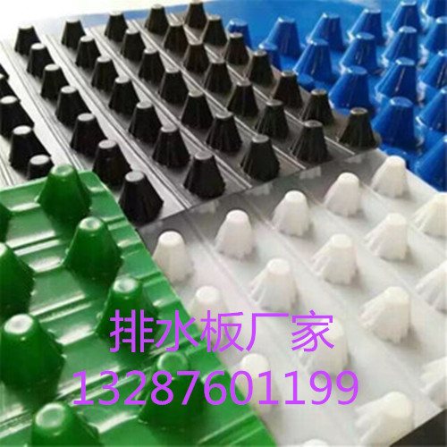3565121192_1396071606.310x310_副本.jpg