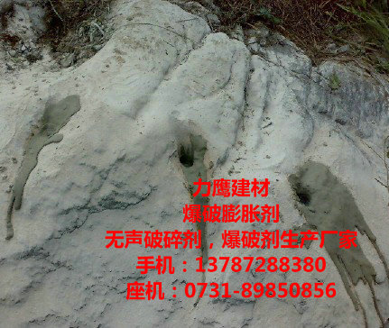 开石膨胀剂首选东科.jpg