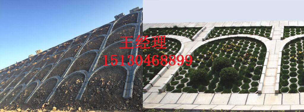 QQ图片20170309112147.jpg