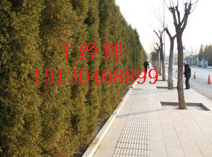 QQ图片20170309112613.jpg