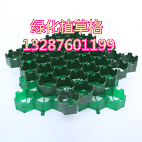 3150794953_883963571.220x220_副本.jpg