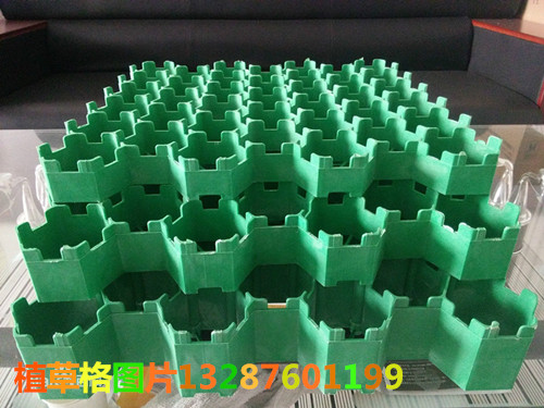 1c950a7b02087bf41cdc6514f4d3572c11dfcf1e_副本.jpg