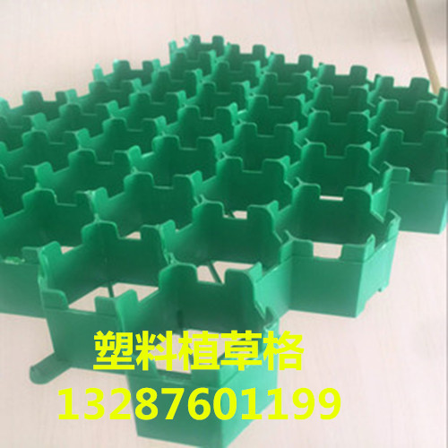 3297421989_973170040.310x310_副本.jpg