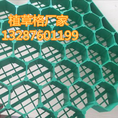 3290633751_973170040.310x310_副本.jpg