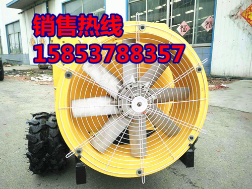 363793282666375738_副本.jpg
