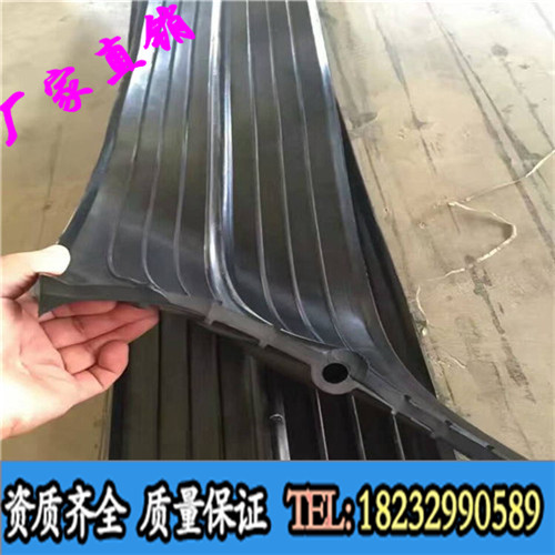 中埋橡胶止水带.jpg