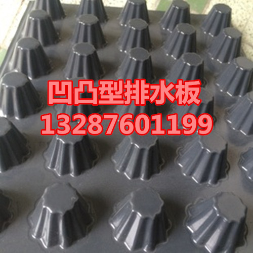 2689548750_892068998.310x310_副本.jpg