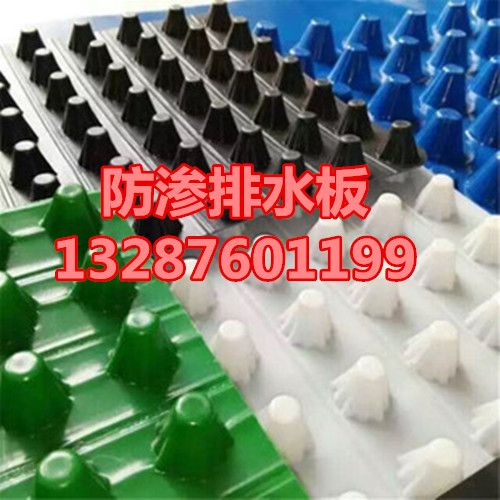3565121192_1396071606.310x310_副本.jpg