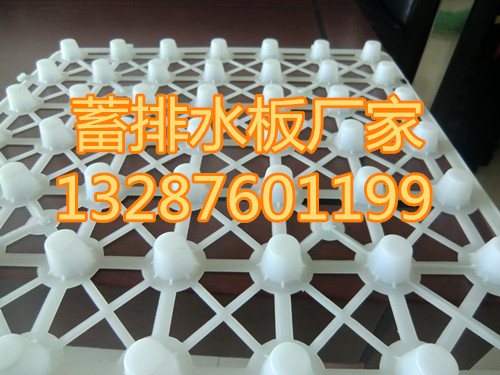 CIMG5919_副本.jpg