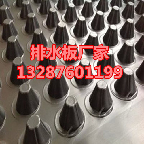 2669469516_1203496086.310x310_副本.jpg