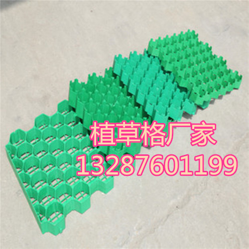3617993764_675348892.310x310_副本.jpg