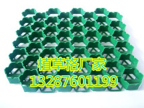 6600608751305304359824_副本.jpg