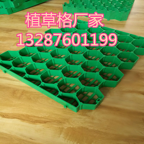 wKhQv1gW4dSEQYEJAAAAAFg9Jos980_副本.jpg