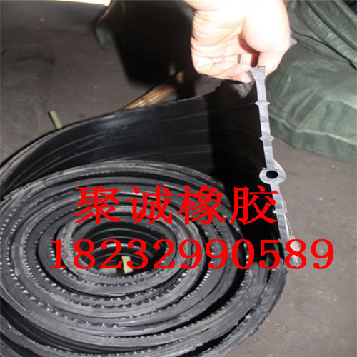 中埋止水带88.jpg