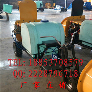 19210002.jpg