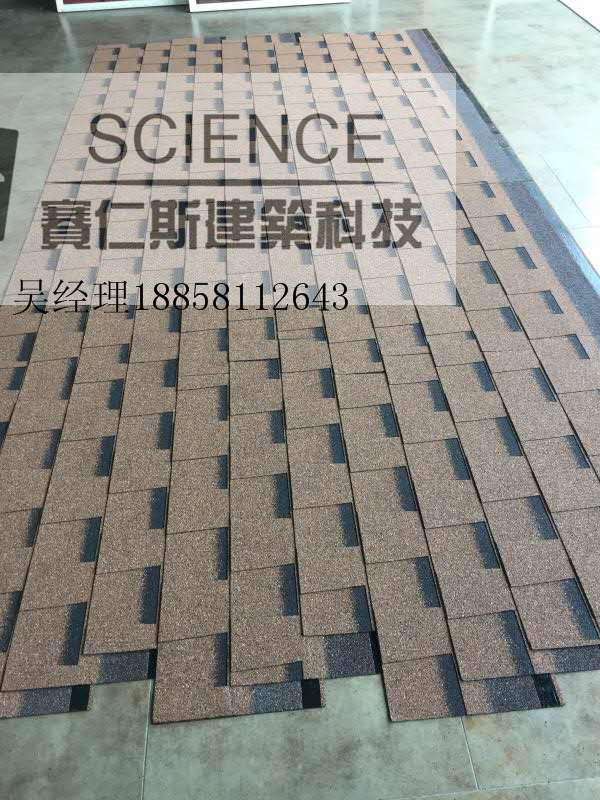 005双层有影沙漠金大图瓦片.jpg