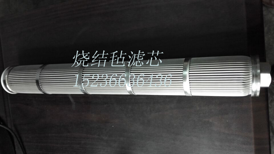30微米折叠滤芯.jpg