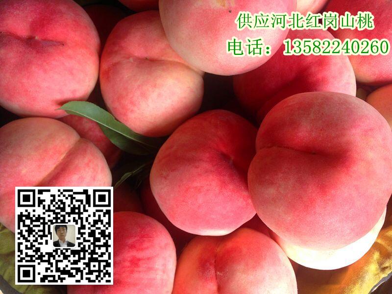 红岗山桃19.jpg