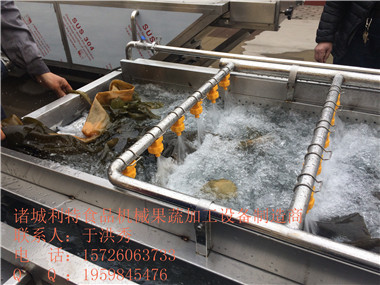 海带清洗机2.jpg