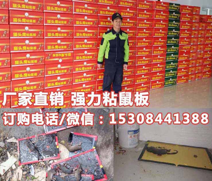 强力粘鼠板7.jpg