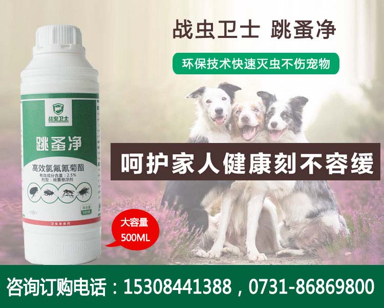 跳蚤药1.jpg