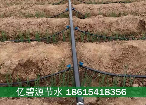 大田蔬菜滴灌安装工程一亩多少钱