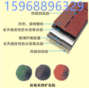 微信图片_20170602153724_副本 (1)_副本.jpg