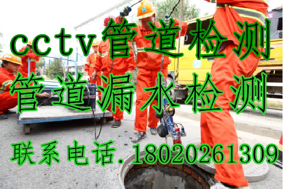 W020131101313329804256_副本.jpg