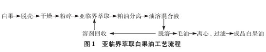 白果油银杏果油萃取流程.jpg