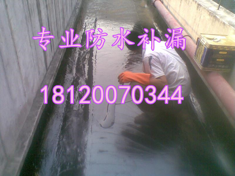 7727970_副本.jpg