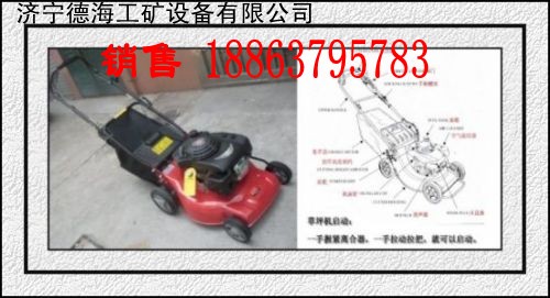 供应园林草坪割草机厂家热线18863795783