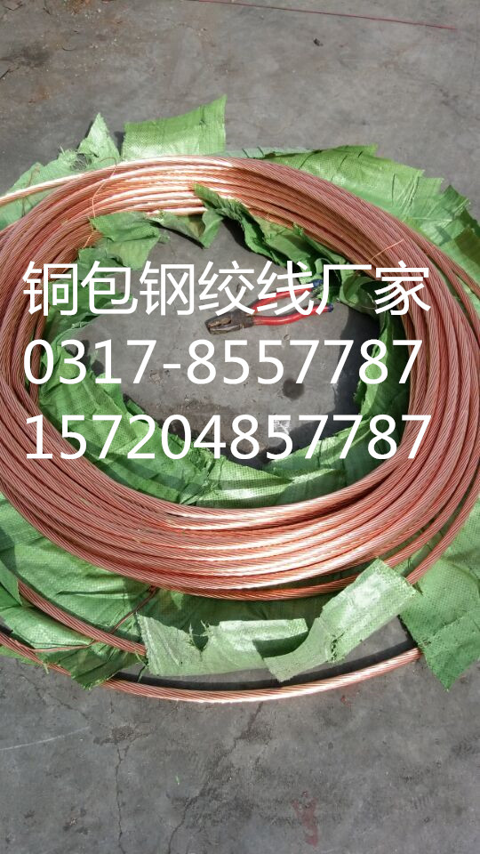 复件 复件 复件 复件 铜包钢绞线7.jpg