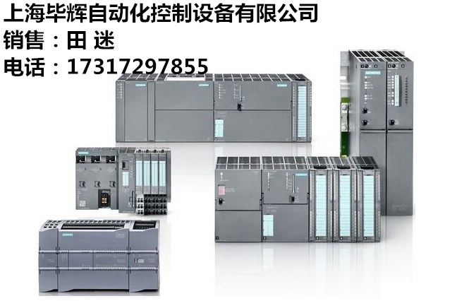 西门子s7-300CPU313C-2DP中央控制器