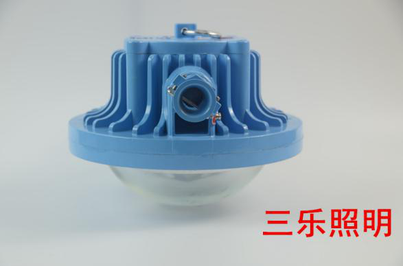 矿用隔爆型LED巷道灯DGS36/127L(A)
