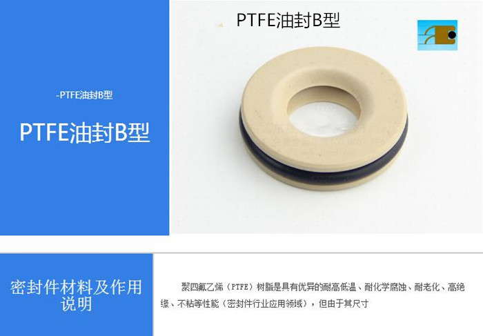 PTFE油封B型