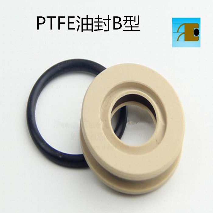 PTFE油封B型