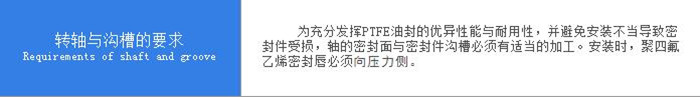 PTFE油封B型