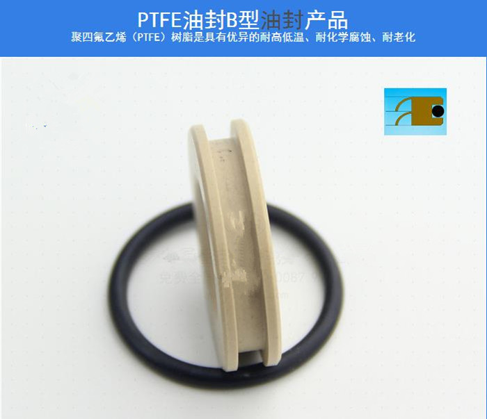 PTFE油封B型