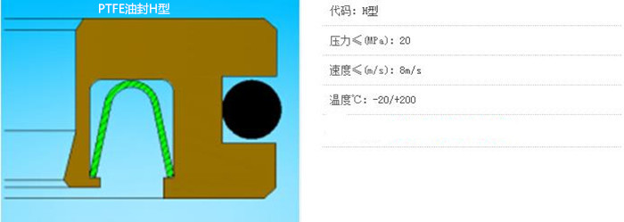 PTFE油封H型