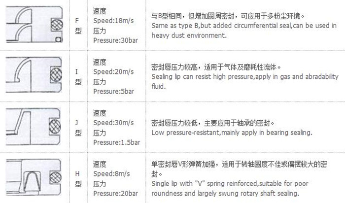PTFE油封H型