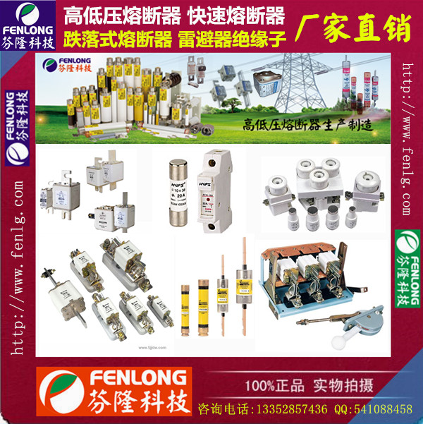 STF6快速熔断器订做