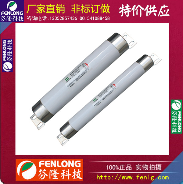 WKNDO-7.2M/100-50T高压熔断器