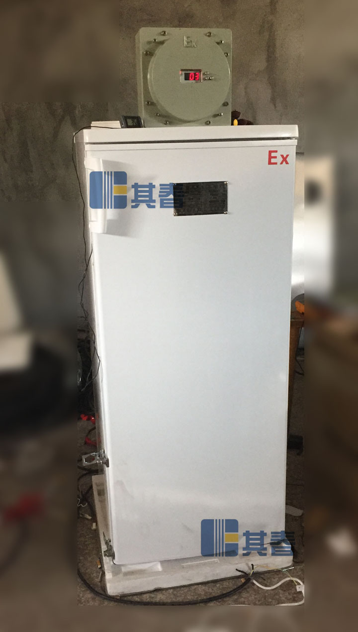 立式单门BL-LD140D