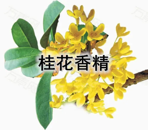 桂花佛香香精线香香精