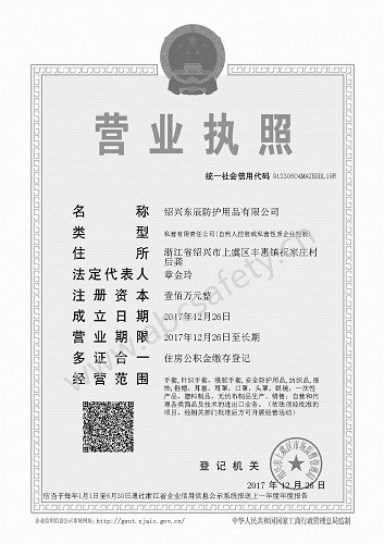 绍兴东辰防护用品有限公司的营业执照