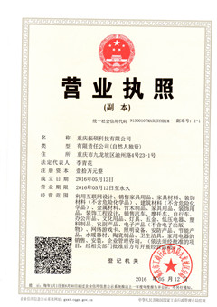 重庆振硕科技有限公司的营业执照